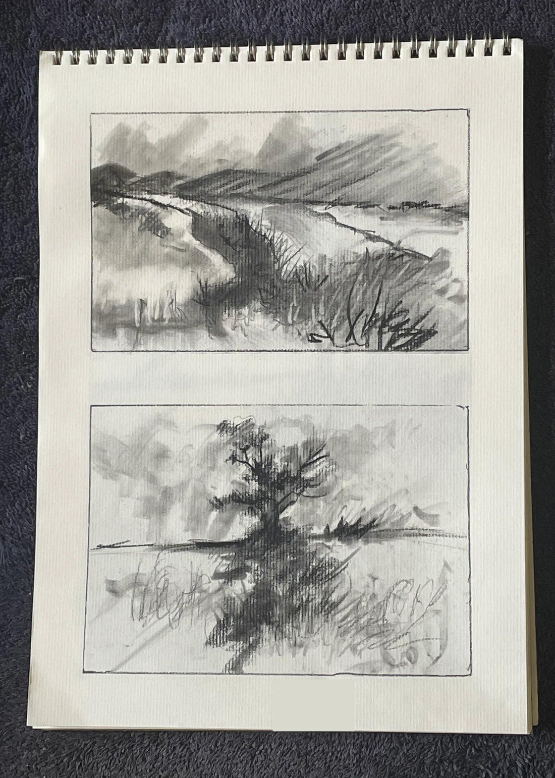 LANDSCAPES, CHARCOAL AND CHAOS: JOHN THOMPSON