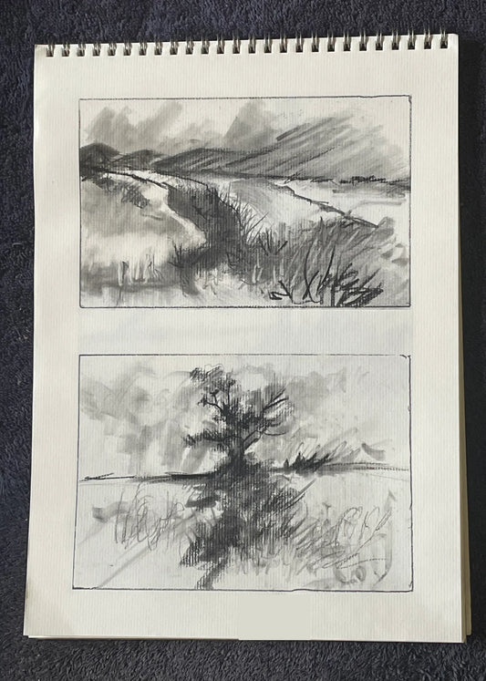 LANDSCAPES, CHARCOAL AND CHAOS: JOHN THOMPSON
