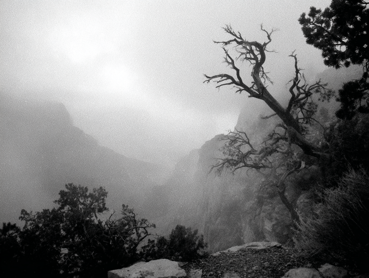 50 REFERENCE IMAGES (LANDSCAPES)